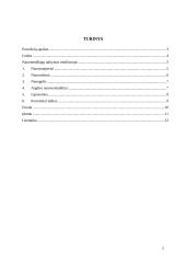 Nanomedžiagos ir jų taikymas medicinoje 2 puslapis