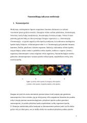Nanomedžiagos ir jų taikymas medicinoje 5 puslapis