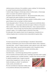 Nanomedžiagos ir jų taikymas medicinoje 6 puslapis