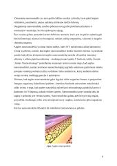 Nanomedžiagos ir jų taikymas medicinoje 8 puslapis