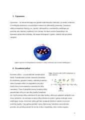 Nanomedžiagos ir jų taikymas medicinoje 9 puslapis