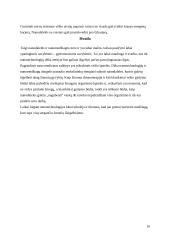 Nanomedžiagos ir jų taikymas medicinoje 10 puslapis