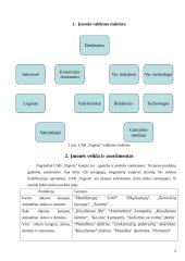 Mėsinės atskaita 2 puslapis