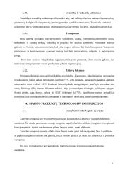 Mėsinės atskaita 11 puslapis