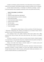 Mėsinės atskaita 12 puslapis