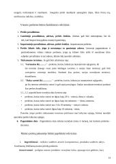 Mėsinės atskaita 14 puslapis