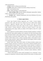 Mėsinės atskaita 15 puslapis