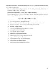 Mėsinės atskaita 16 puslapis