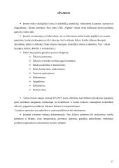 Mėsinės atskaita 17 puslapis