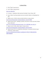 Mėsinės atskaita 18 puslapis