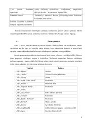 Mėsinės atskaita 3 puslapis