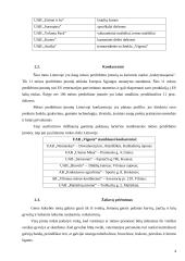 Mėsinės atskaita 4 puslapis