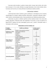 Mėsinės atskaita 5 puslapis