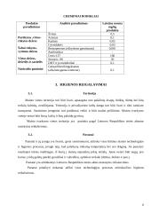 Mėsinės atskaita 6 puslapis