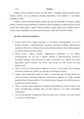 Mėsinės atskaita 7 puslapis