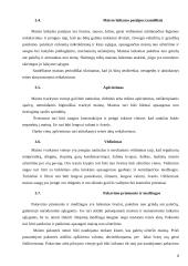 Mėsinės atskaita 8 puslapis