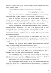 Mėsinės atskaita 9 puslapis