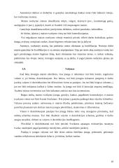 Mėsinės atskaita 10 puslapis