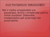 Karstiniai reiškiniai Lietuvoje 5 puslapis