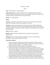 Popamokinio renginio planas