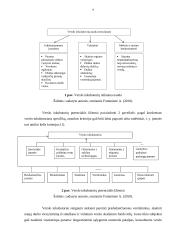 Smulkaus ir vidutinio verslo inkubavimas Lietuvoje 9 puslapis