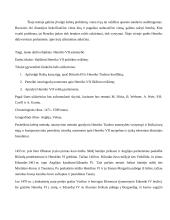 Henriko VII įtaka Tiudorų dinastijos vystymuisi 3 puslapis