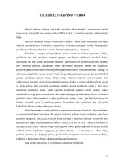 Sutarčių aiškinimo taisyklės referatas 12 puslapis