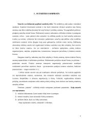 Sutarčių aiškinimo taisyklės referatas 4 puslapis