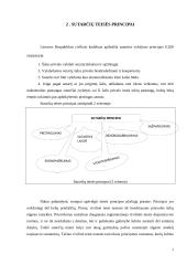 Sutarčių aiškinimo taisyklės referatas 7 puslapis