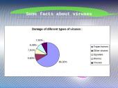 Computer viruses 13 puslapis