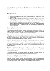 Dvigubos pilietybės įgyvendinimas Lietuvoje 6 puslapis