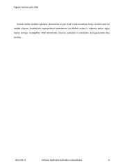 Elgesio normos prie stalo referatas 6 puslapis
