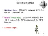 Sotieji angliavandeniliai alkanai 4 puslapis