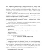UAB „BUSTURAS“ finansų analizė 3 puslapis