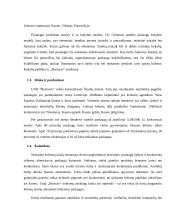 UAB „BUSTURAS“ finansų analizė 6 puslapis