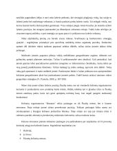 UAB „BUSTURAS“ finansų analizė 9 puslapis