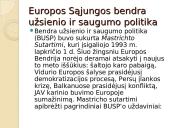 ES Ekonomika 13 puslapis