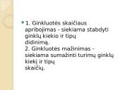 ES Ekonomika 17 puslapis