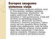 ES Ekonomika 5 puslapis