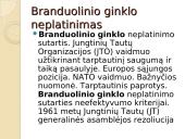 ES Ekonomika 10 puslapis