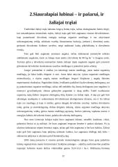 Lubinų auginimo technologijos 12 puslapis