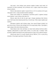 Lubinų auginimo technologijos 17 puslapis