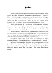 Lubinų auginimo technologijos 3 puslapis