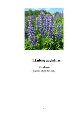 Lubinų auginimo technologijos 4 puslapis
