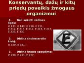 E maisto produktuose 7 puslapis