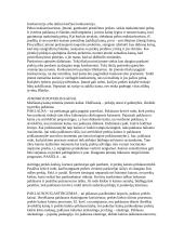 Marketingo sampratos konspektas 11 puslapis