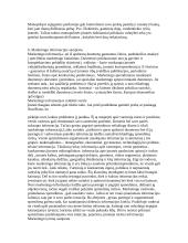 Marketingo sampratos konspektas 16 puslapis