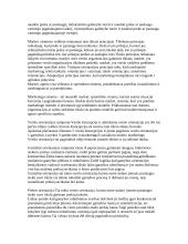 Marketingo sampratos konspektas 3 puslapis