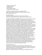 Marketingo sampratos konspektas 10 puslapis