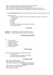 Informacinių technologijų konspektas 15 puslapis